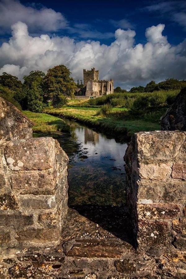 Ballyhack By The Sea Arthurstown Esterno foto